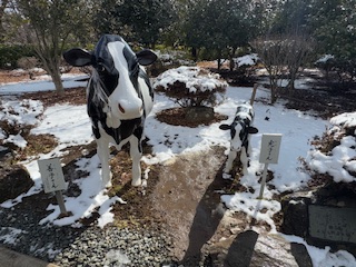 善光寺にいた善子と光子